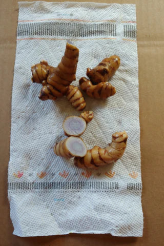 Turmeric (per pound)